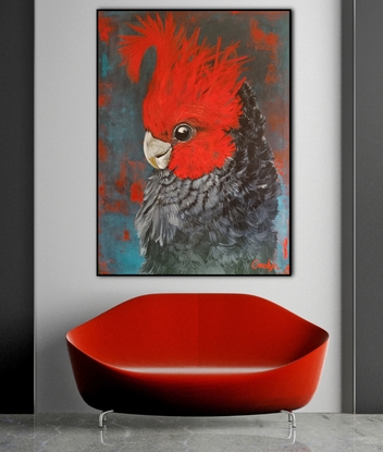 #Red comb #cockatoo #greyfeathers #portrait