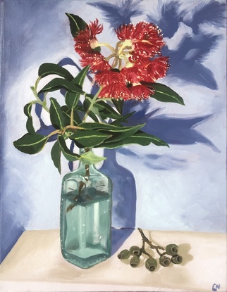 Red gum blossom in vase with gumnuts 