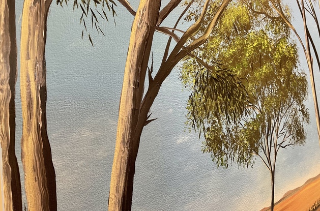 Gum trees in outback red desert