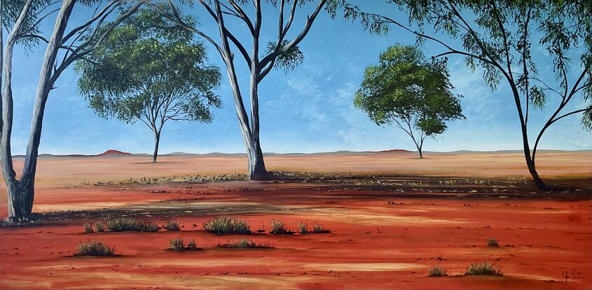 Gum trees in outback red desert