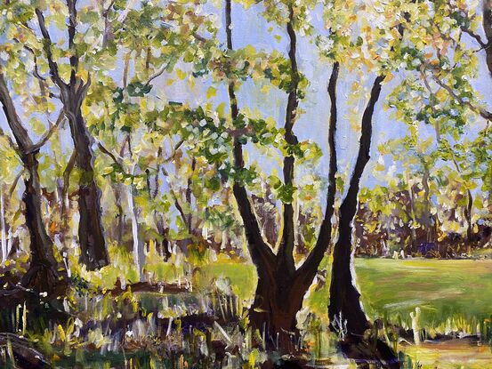 A buttery yellow sunset caught behind a beautiful series of trees. The shadows are throwing to soft brown greys and mauves. The whole landscape is shimmering in the sunlight. Shadows in the front of the painting add interest to the scene.  A moment caught in time. 