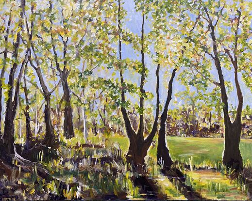 A buttery yellow sunset caught behind a beautiful series of trees. The shadows are throwing to soft brown greys and mauves. The whole landscape is shimmering in the sunlight. Shadows in the front of the painting add interest to the scene.  A moment caught in time. 