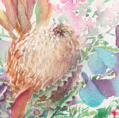 Watercolour painting of native flowers in colours of pink, peach, and foliage of blue-green.