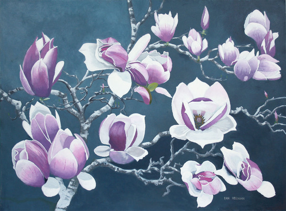 This painting displays a large magnolia with it's blooms detailed at different stages of opening.