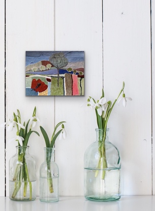 Poppy, olive trees, Umbrian countryside in Italy