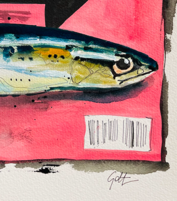 Fish on a cover of a magazine cove 