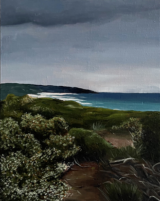 Australian beach landscape