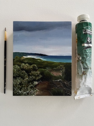 Australian beach landscape