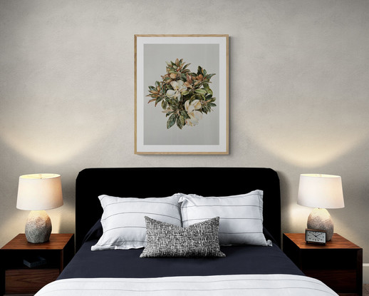 Still life Magnolia illustration