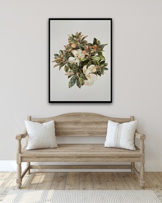 Still life Magnolia illustration