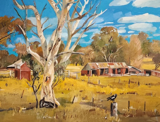 A scenic view of rural outback Australia. Includes a large white gum tree in the foreground with old sheds under a bright blue cloudy sky.