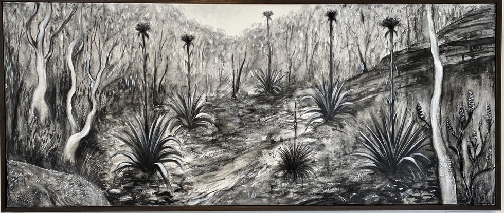 Monochromatic drawing of a northern Illawarra landscape with interesting mark making evoking the textures of the native flora & sandstone found near Helensburg 