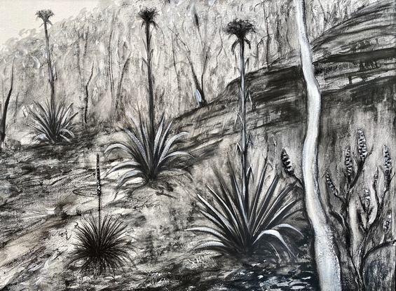 Monochromatic drawing of a northern Illawarra landscape with interesting mark making evoking the textures of the native flora & sandstone found near Helensburg 