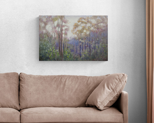 Karri tree forest in south Western Australia