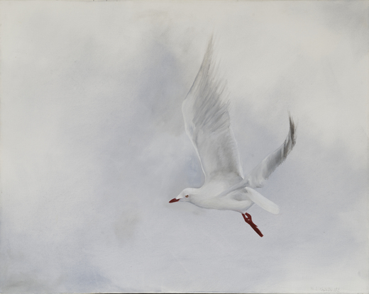 White seagull flying against grey sky.