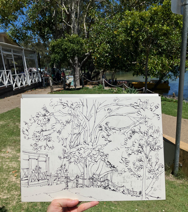 Large fig tree shading people enjoying a coffee shop and swimming in the river.