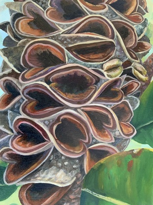 Banksia seed pod, leaves and soft washed tree into background