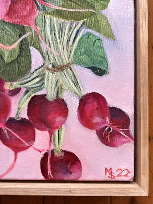 Bunches of red radishes with green stalks and leaves on a mauve background 