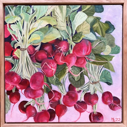 Bunches of red radishes with green stalks and leaves on a mauve background 