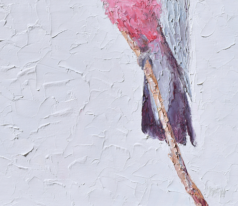 A thickly textured painting of a pink and grey Galah Cockatoo on a perch.