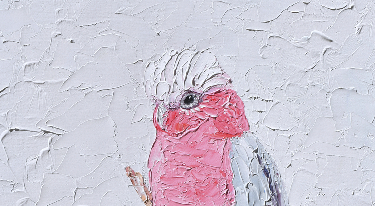 A thickly textured painting of a pink and grey Galah Cockatoo on a perch.