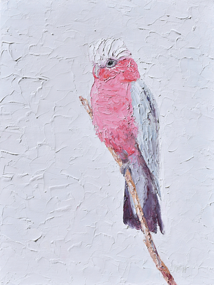 A thickly textured painting of a pink and grey Galah Cockatoo on a perch.