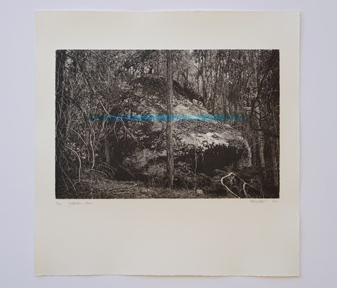 A print of a forest landscape