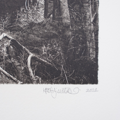 A print of a forest landscape