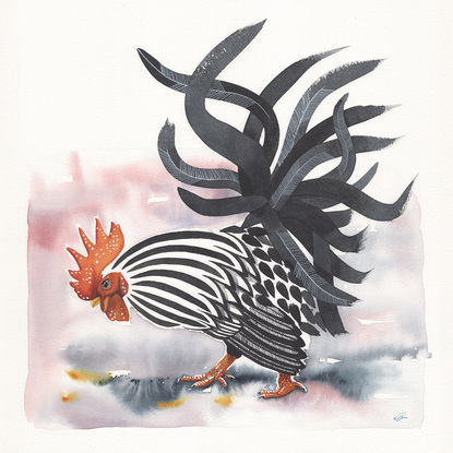 Single rooster searching the ground with expressive tail feathers 