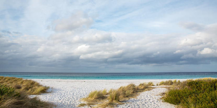 Blue sky, white clouds, blue water, white sand, and green grasses.