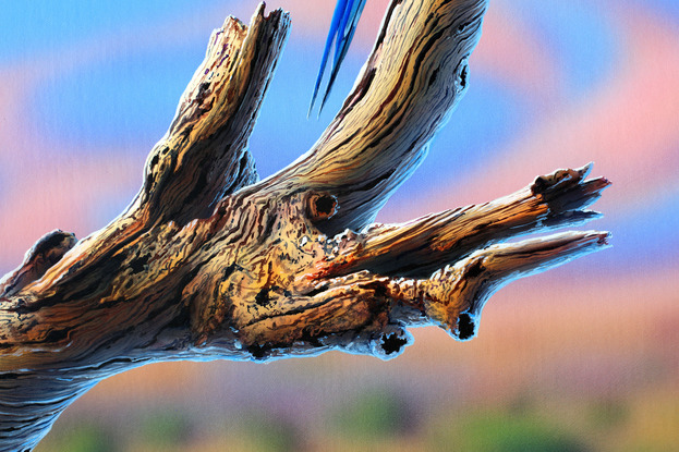 exquisitely framed realism painting of a Crimson Rosella in an outback setting with ranges in the background, Australian outback