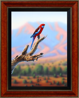 exquisitely framed realism painting of a Crimson Rosella in an outback setting with ranges in the background, Australian outback