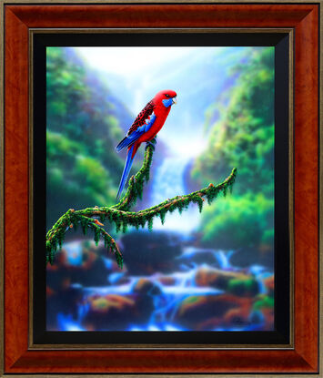 exquisitely framed realism painting of a Crimson Rosella sitting on a detailed branch!