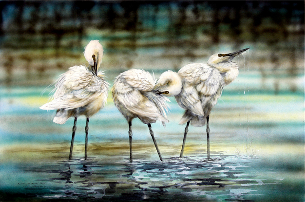 Australian Great Egrets are one of my favourite birds to paint.  I placed these majestic birds in a quiet and gentle composition.  They're often found standing serenely in shallow water looking for their next meal and having a peaceful paddle.  
