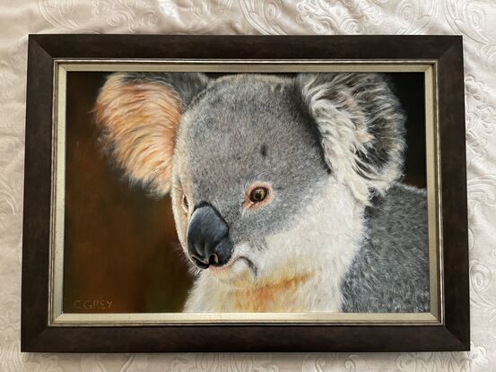 Oil painting of a koala, with a reflection of a firefighter in his eye