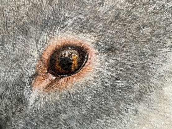 Oil painting of a koala, with a reflection of a firefighter in his eye