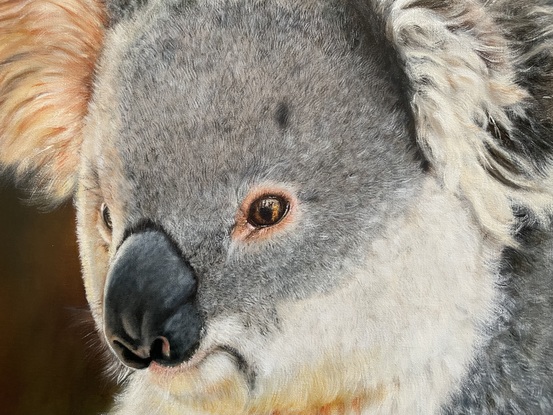 Oil painting of a koala, with a reflection of a firefighter in his eye