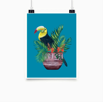 (CreativeWork) Tucano Ed. 3 of 40 by Murilo Manzini (a.k.a. Muzi). Reproduction Print. Shop online at Bluethumb.