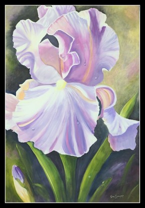 This painting is of dew that has settled on the iris and just stands out in the sunlight