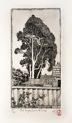 A black and white etching of a tall gum tree viewed over a garden fence with houses and bushes visible. 