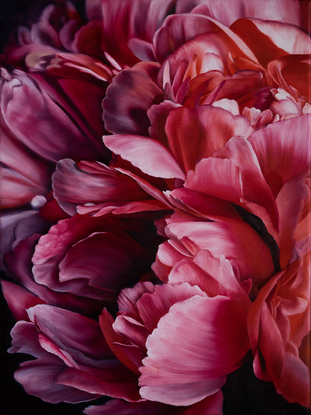 Close-up cluster of red peonies