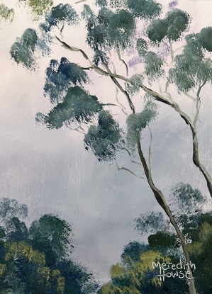 Gum trees with white frame