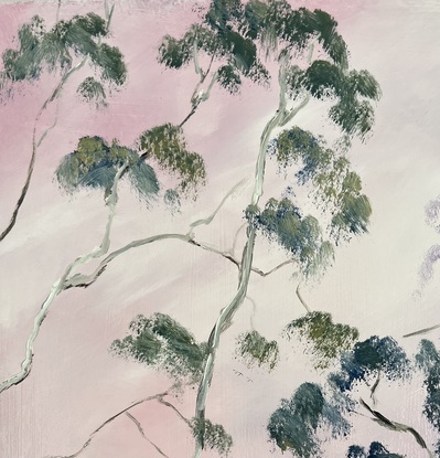 Gum trees with white frame