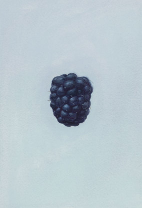 A detailed painting of a blackberry against a light blue background