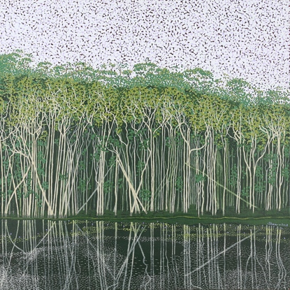 Many paperbark trees reflected in  wetland water