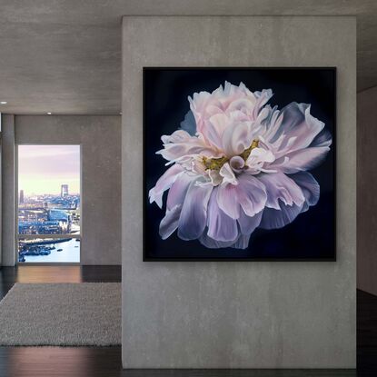 Eternity  is an original still life oil painting of a luminous peonie by Nicole Reed 