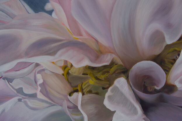 Eternity  is an original still life oil painting of a luminous peonie by Nicole Reed 