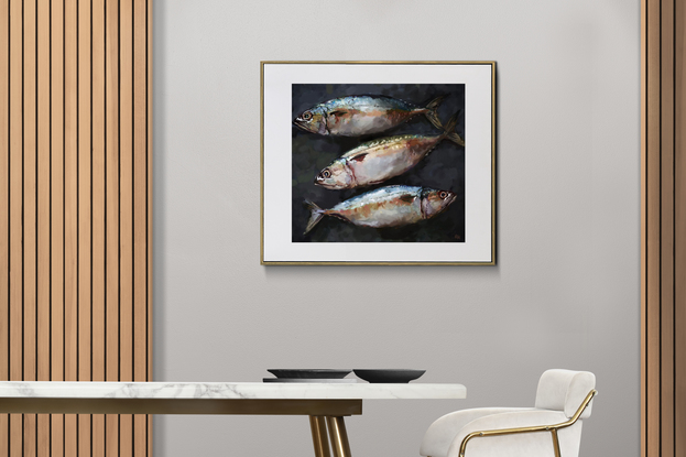 Three Mackerel on a dark background