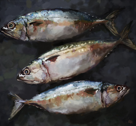 Three Mackerel on a dark background