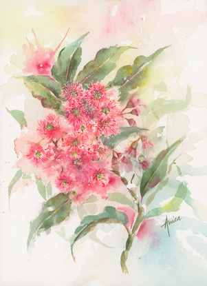 Watercolour painting of a pink red gum blossoms and leaves